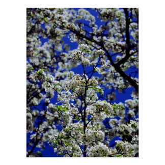 ひまわり ポスター