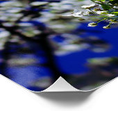 ひまわり ポスター (コーナー)