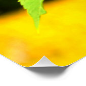 ひまわり ポスター (コーナー)