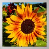 ひまわり ポスター (正面)