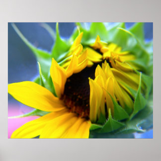 ひまわり ポスター