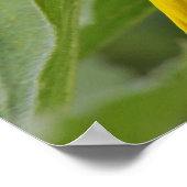 ひまわり ポスター (角)