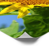 ひまわり ポスター (角)