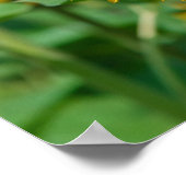 ひまわり ポスター (角)