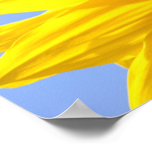 ひまわり ポスター (角)