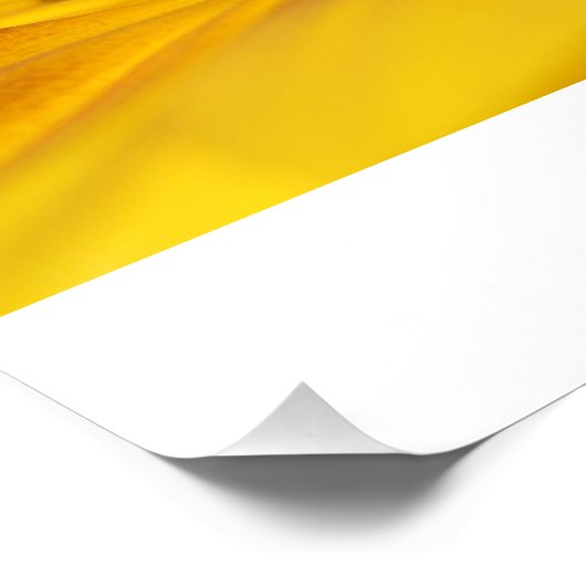 ひまわり ポスター (コーナー)