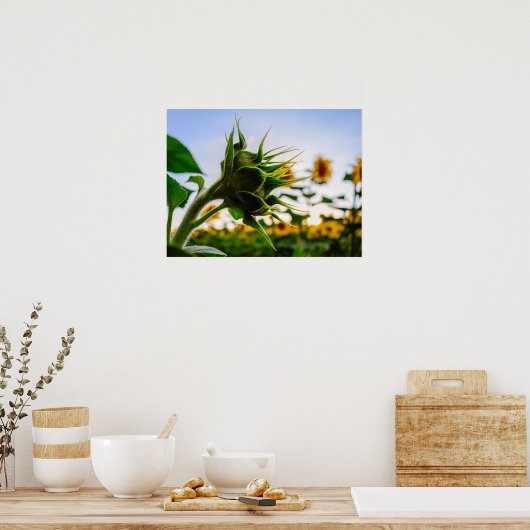 ひまわり ポスター (キッチン)
