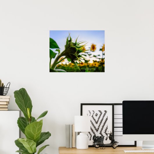 ひまわり ポスター (ホームオフィス)