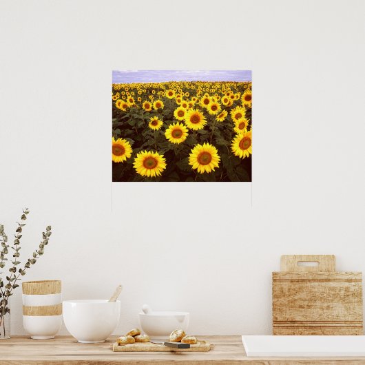 ひまわり ポスター (キッチン)