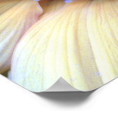 ひまわり ポスター (角)