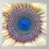 ひまわり ポスター (正面)