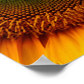 ひまわり ポスター (角)