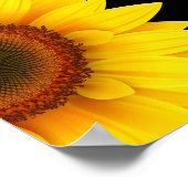 ひまわり ポスター (角)