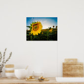 ひまわり ポスター (キッチン)