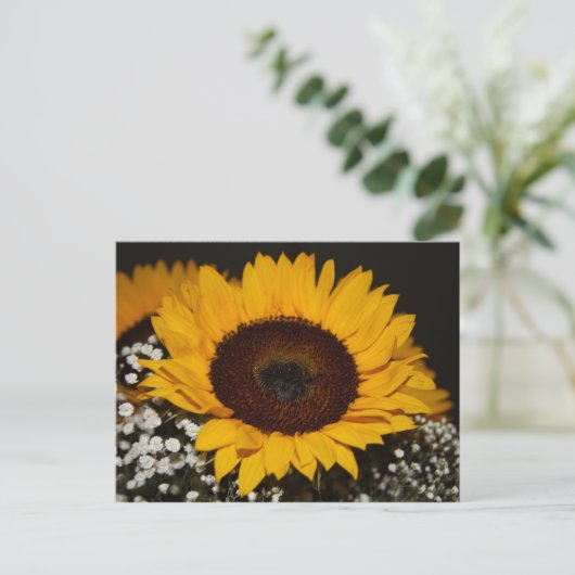 ひまわり ポストカード (スタンド正面)