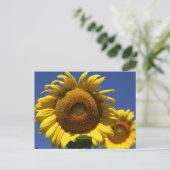 ひまわり ポストカード (スタンド正面)