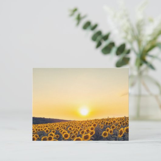 ひまわり ポストカード (スタンド正面)
