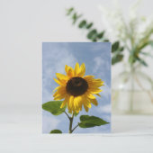 ひまわり ポストカード (スタンド正面)