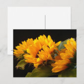 ひまわり ポストカード (正面/裏面)