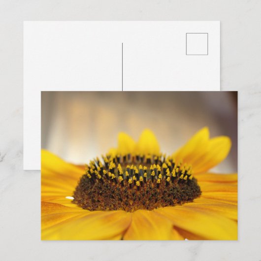 ひまわり ポストカード (正面/裏面)