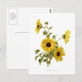 ひまわり ポストカード (正面/裏面)