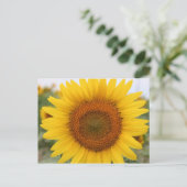 ひまわり ポストカード (スタンド正面)