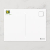 ひまわり ポストカード (裏面)