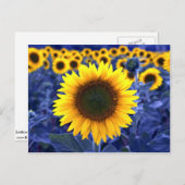 ひまわり ポストカード (正面/裏面)