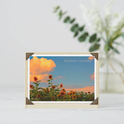 ひまわり ポストカード (スタンド正面)