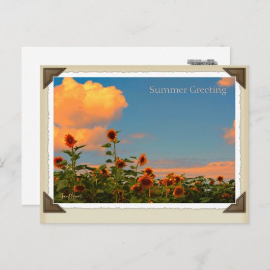 ひまわり ポストカード (正面/裏面)
