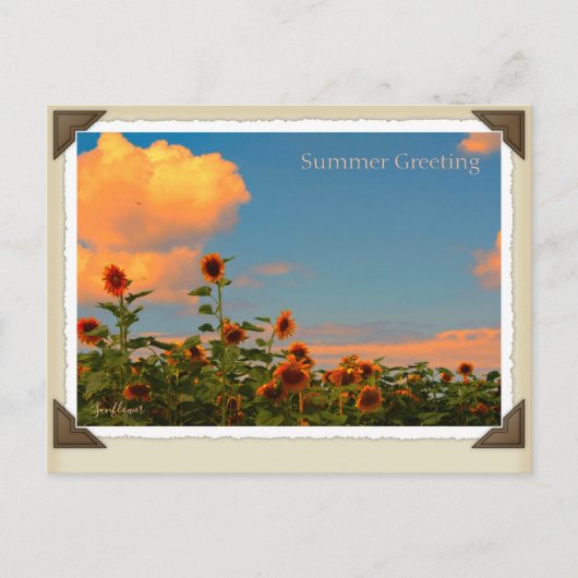 ひまわり ポストカード (正面)