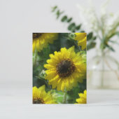 ひまわり ポストカード (スタンド正面)