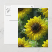 ひまわり ポストカード (正面/裏面)