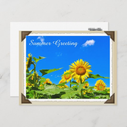 ひまわり ポストカード (正面/裏面)