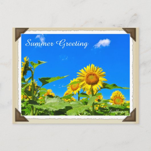 ひまわり ポストカード (正面)