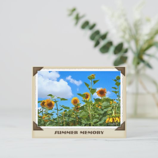 ひまわり ポストカード (スタンド正面)