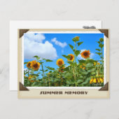 ひまわり ポストカード (正面/裏面)