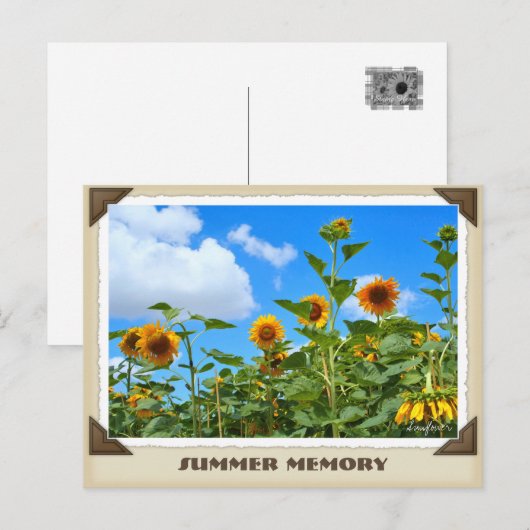 ひまわり ポストカード (正面/裏面)