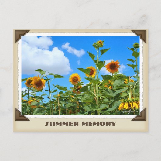 ひまわり ポストカード (正面)