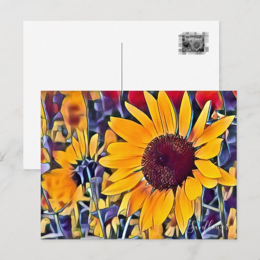ひまわり ポストカード (正面/裏面)