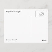 ひまわり ポストカード (裏面)