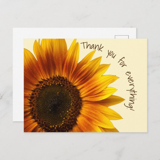 ひまわり ポストカード (正面/裏面)