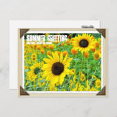 ひまわり ポストカード (正面/裏面)