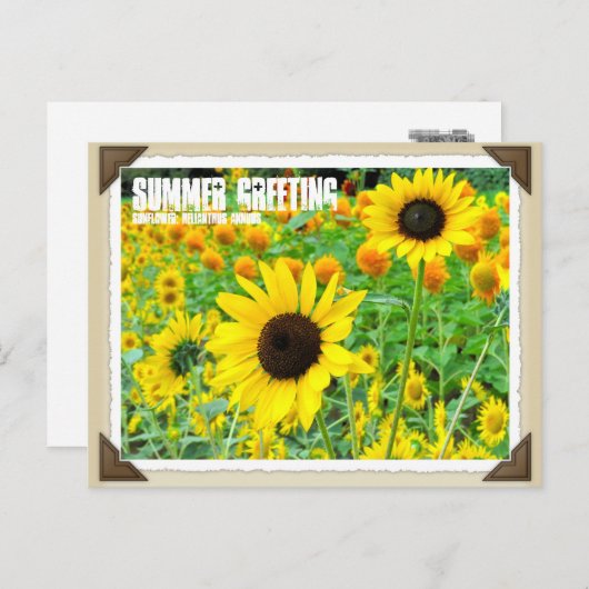 ひまわり ポストカード (正面/裏面)