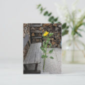 ひまわり ポストカード (スタンド正面)