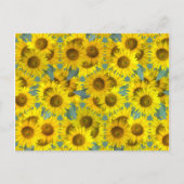 ひまわり ポストカード (正面)