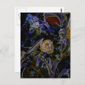 ひまわり ポストカード (正面/裏面)