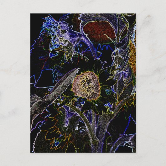 ひまわり ポストカード (正面)