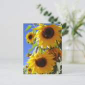 ひまわり ポストカード (スタンド正面)