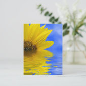 ひまわり ポストカード (スタンド正面)